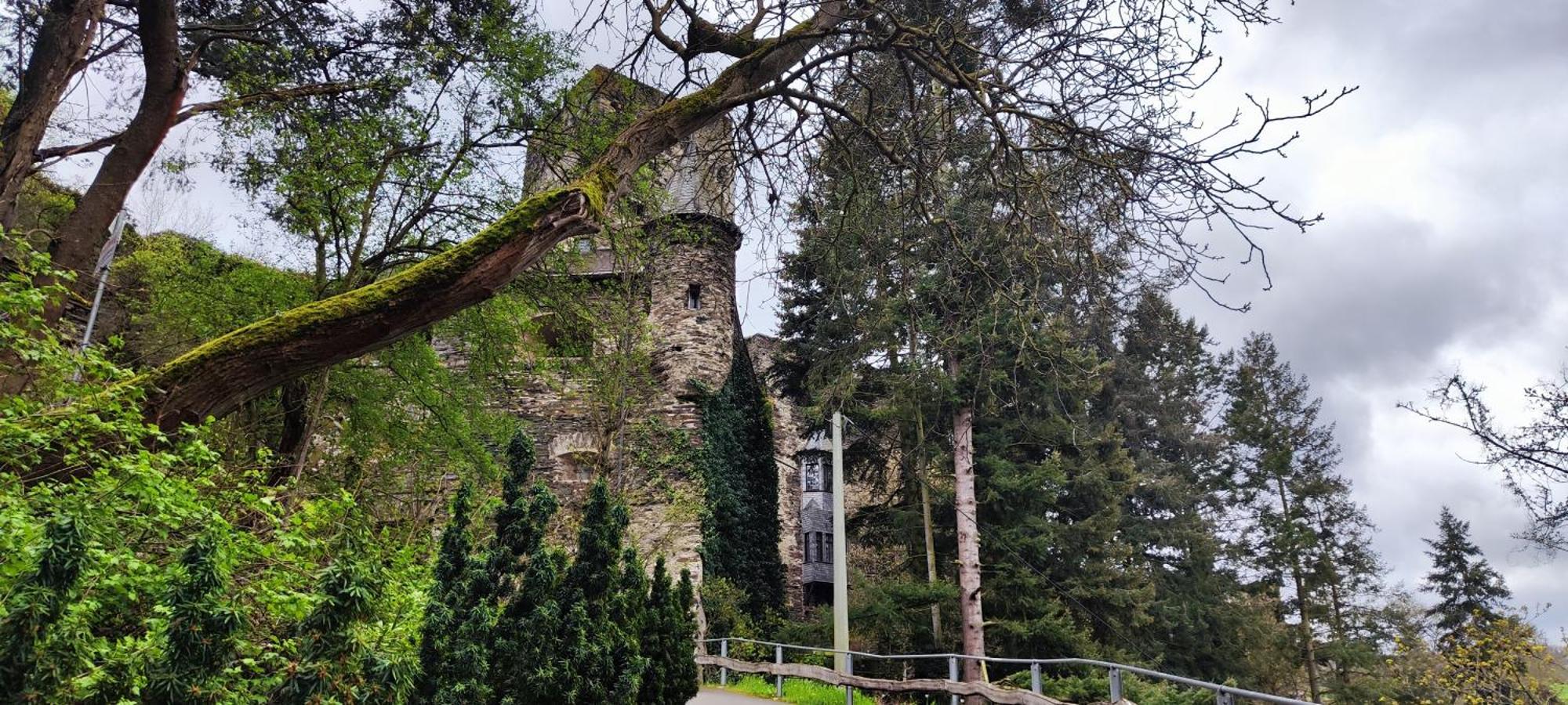 Gemuetliche Wohnung, Kueche, Bad, Netflix, Rheinblick Kaub Exterior foto
